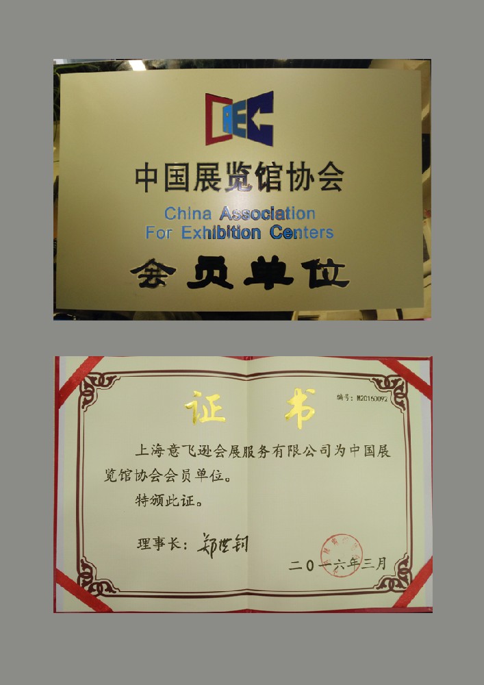 资质6